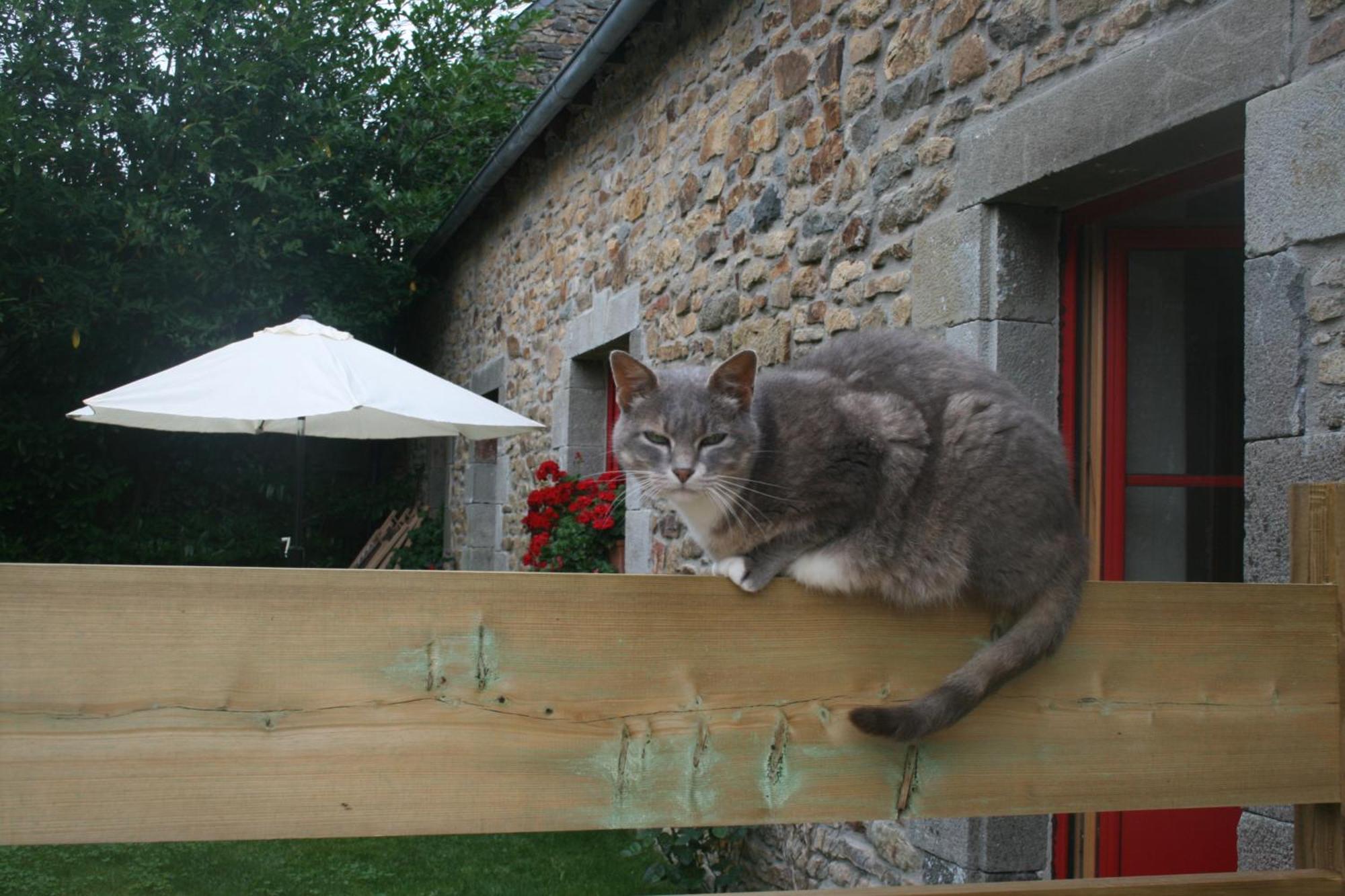 Les Gites D'Hellen Logonna-Daoulas Exterior foto